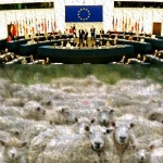 Běžný den v europarlamentu: 178 hlasování za půl hodiny!