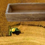 Bude nás v budoucnosti krmit obří kolos Bayer-Monsanto stejně jako chovný dobytek?