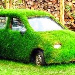 Zelení automobiloví vyžírci
