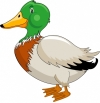 animal_painting_wild_duck_icon_colored_cartoon_sketch_6838816