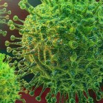Smrtnost koronaviru a postupy prozatímní léčby