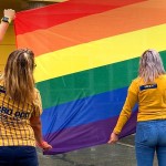 Z blogu Vox Populi: Firmy Ikea, Coca cola i Vodafone podpořily LGBTQI, pokud to však kritizujete, jste prý troll