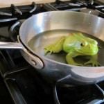 Jak uvařit žábu, aneb co se dnes děje a co se připravuje