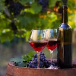 Sbohem vinařská kulturo