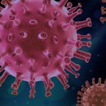 Nákaza virovou nemocí se experimentálně nikdy nepodařila