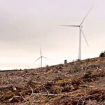 Nová studie potvrzuje: Větrné elektrárny jsou škodlivější než se předpokládalo
