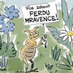 Jak se baví internet: Vzpomínka na Zelenského v Praze