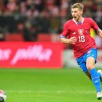 Květinky křehké aneb Poučení z krizového vývoje ve fotbalové reprezentaci